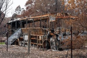 Australian Bushfire aftermath